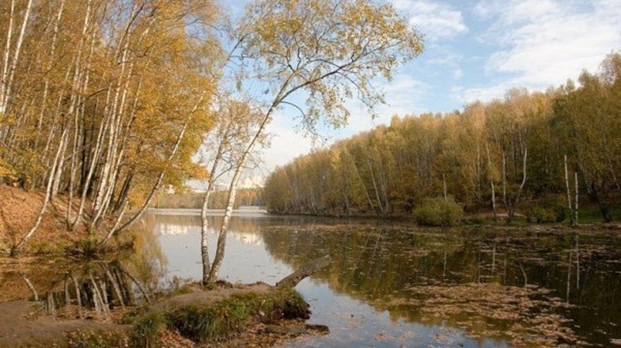 Парк «Тропарево»