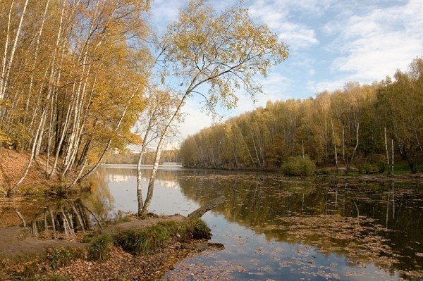 Парк «Тропарево» 