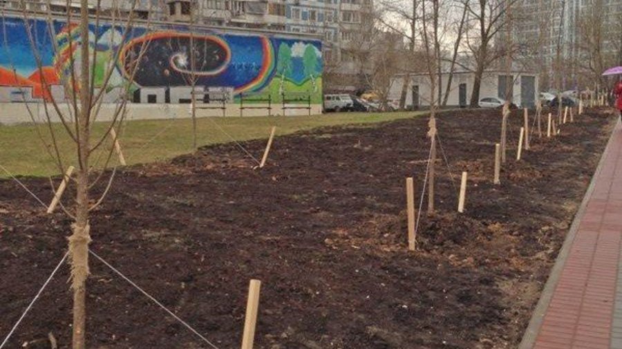 Сквер в честь воссоединения народов Крыма и РФ