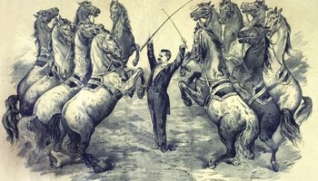 Надо знать: 23 декабря 1827 года в Петербурге открылся крупнейший в России цирк