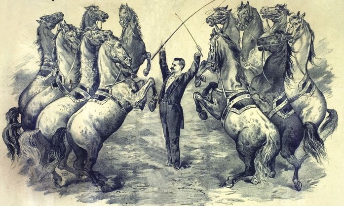 Надо знать: 23 декабря 1827 года в Петербурге открылся крупнейший в России цирк