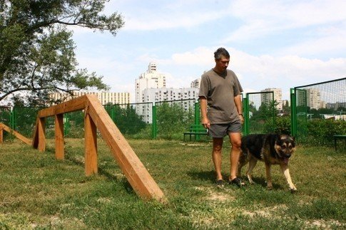 Площадки для выгула собак