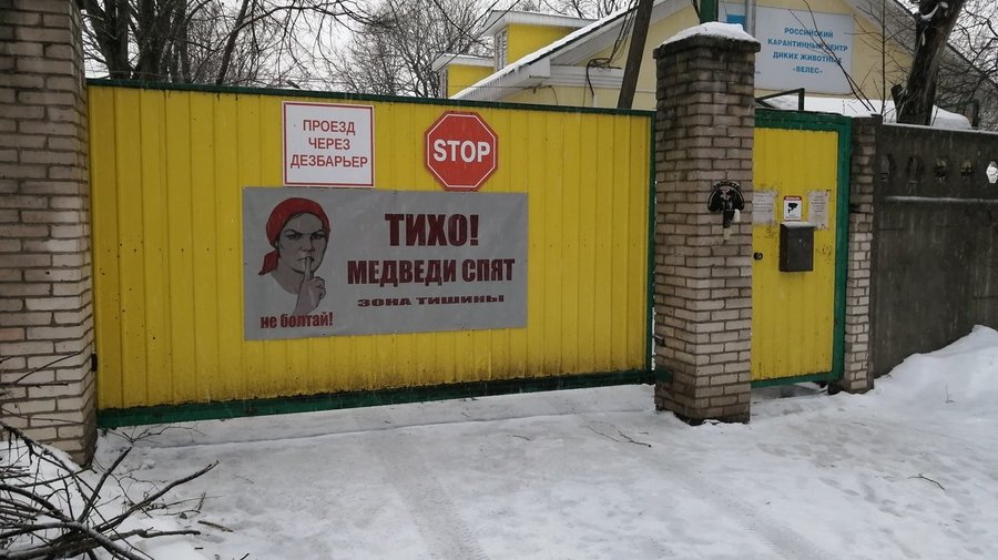 Два десятка медведей разом впали в спячку в центре помощи диким животным «Велес»