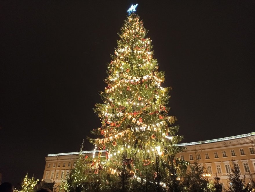 Петербуржцы просят оставить новогоднюю ёлку на Дворцовой до конца января