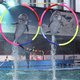 Против строительства дельфинария в Петербурге создана петиция