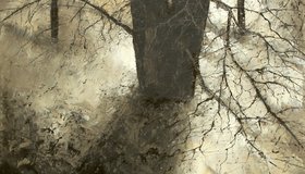Выставка Дмитрия Кустановича «Мгновения. Санкт-Петербург»