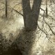 Выставка Дмитрия Кустановича «Мгновения. Санкт-Петербург»