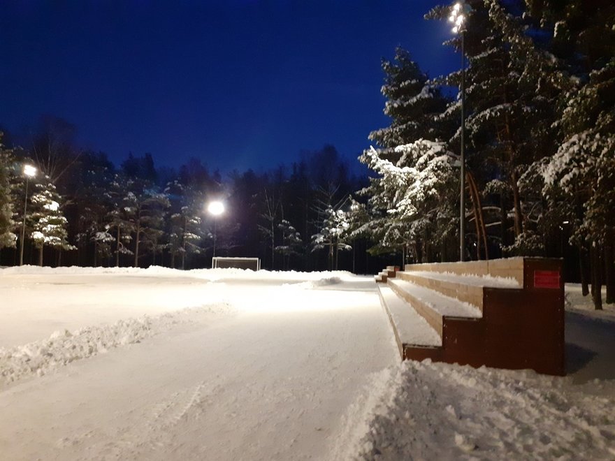 Парк сосновка в санкт петербурге зимой