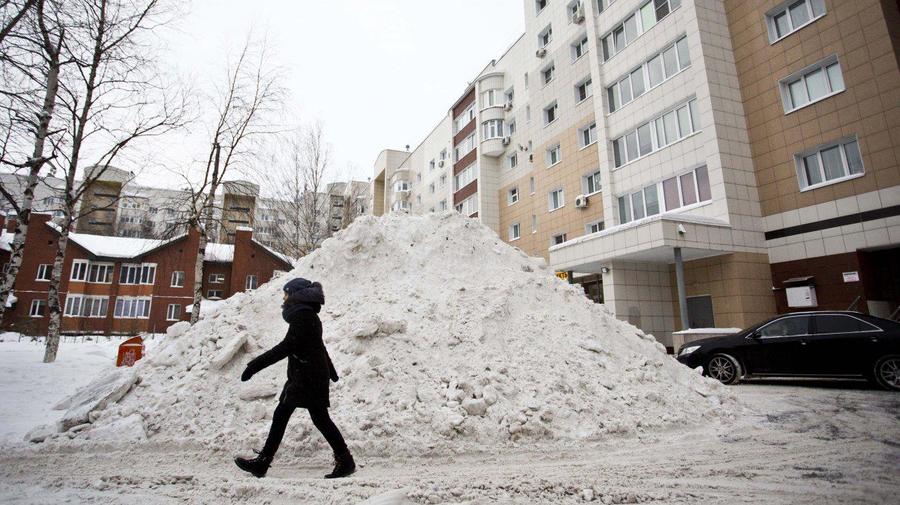 Убирать снег хотят призвать Росгвардию
