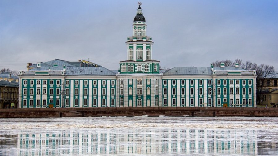 Посетить Кунсткамеру в четверг можно будет бесплатно