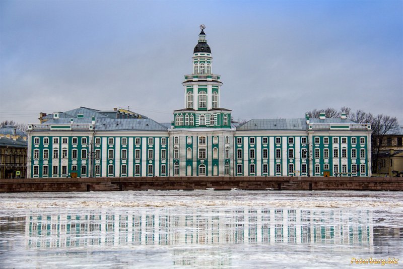 Посетить Кунсткамеру в четверг можно будет бесплатно