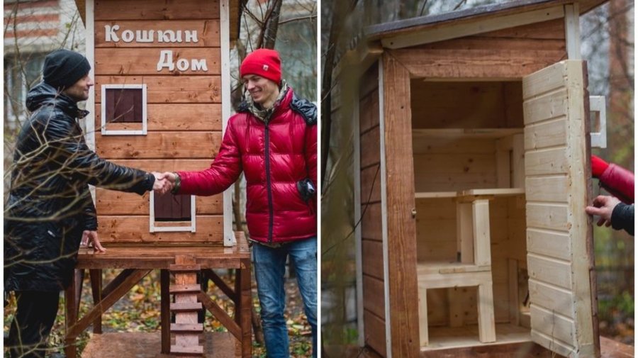 Дома для уличных кошек могут появиться в разных районах Петербурга