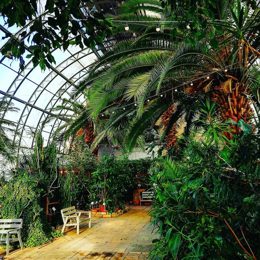 Оранжерея Таврического сада