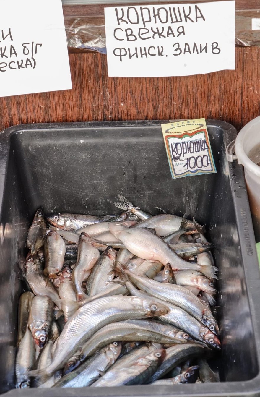 «Золотая рыбка, не простая»: корюшка появилась на прилавках Петербурга