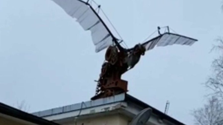 Уличный ответ эрмитажному павлину: на Свердловской набережной появилась кинетическая скульптура хищной птицы