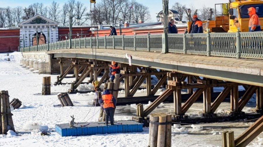 Заяц у Иоанновского моста в Петербурге покинул свой пенёк