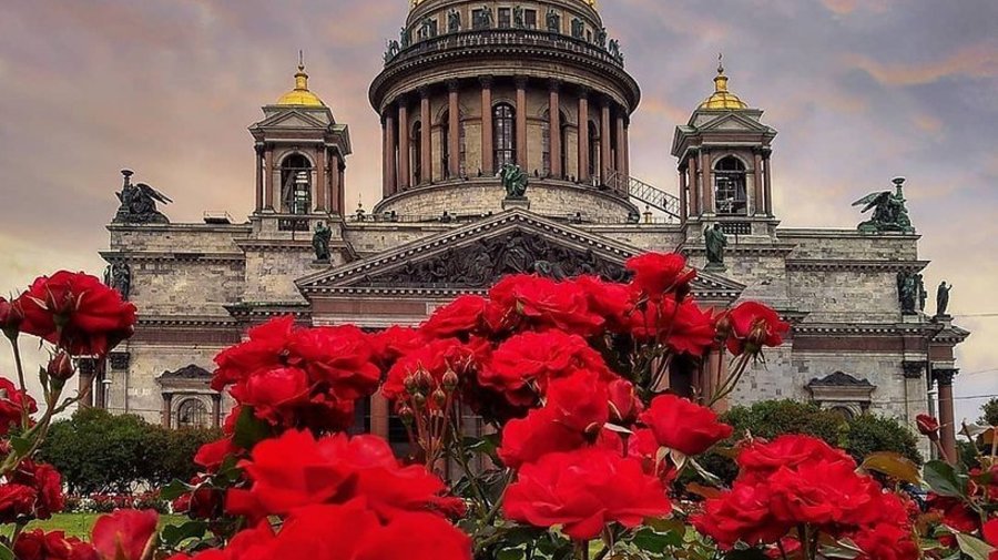 В Петербурге цветники оформят в стиле Года науки и технологий
