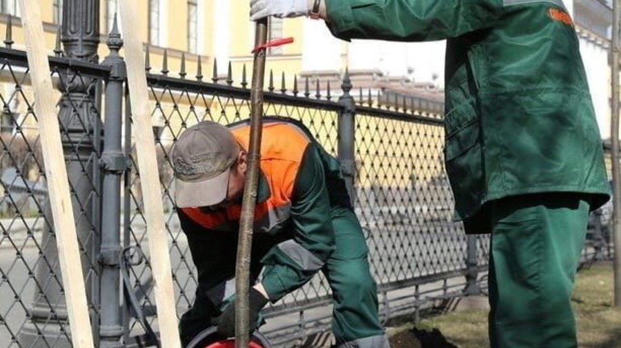 Общегородской субботник пройдёт в Петербурге 24 апреля