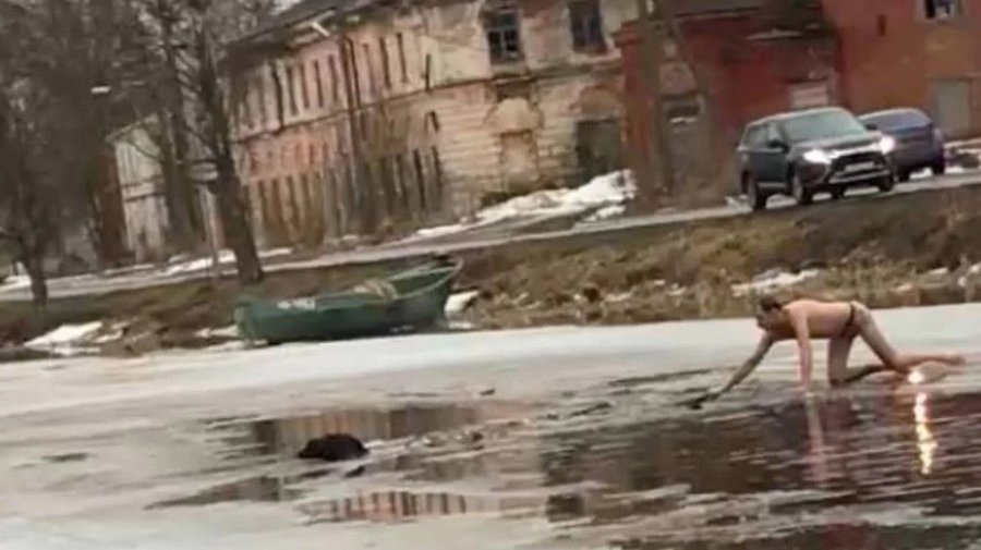Под Петербургом мужчина искупался, чтобы спасти тонущую собаку
