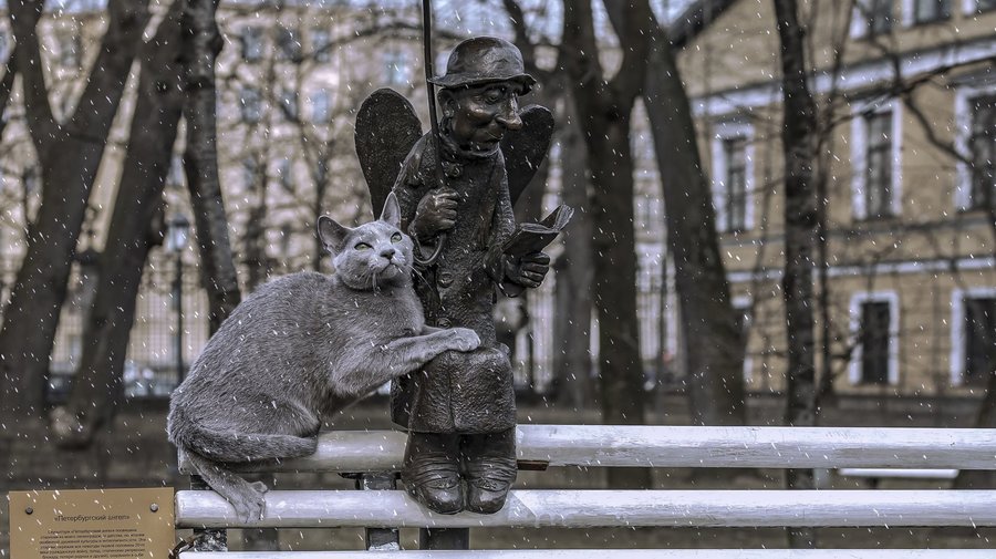 В МФЦ Ленинградской области появилась услуга по подбору питомцев