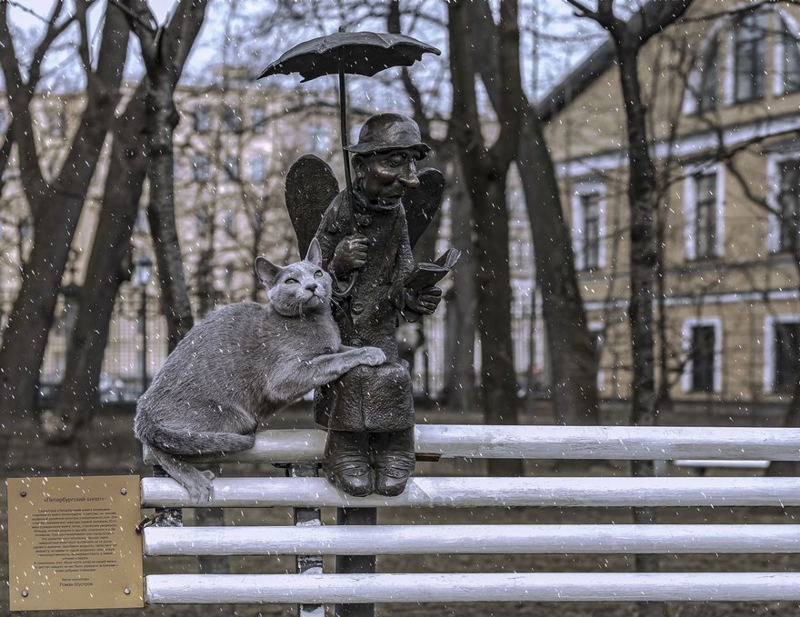 В МФЦ Ленинградской области появилась услуга по подбору питомцев