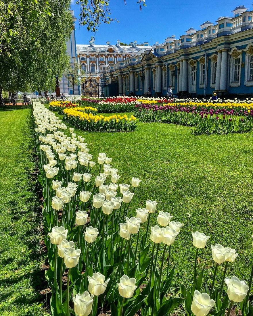 Санкт петербург улица петергофа. Питер Екатерининский дворец парк. Петергоф сад Екатерининский дворец сад. ГМЗ Царское село Екатерининский парк. Пушкин Екатерининский дворец парк.