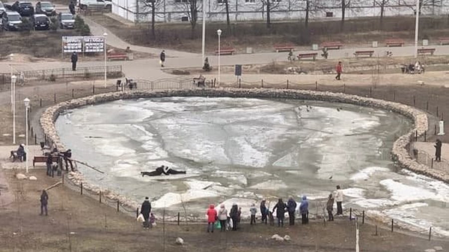 В Сертолово из воды вытащили ребёнка