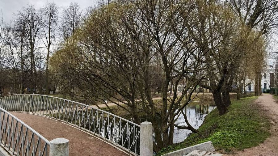 В Петербурге закрыли сады, парки и скверы из-за сильного ветра