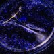 Концерт AntiGravity в «Планетарии № 1»