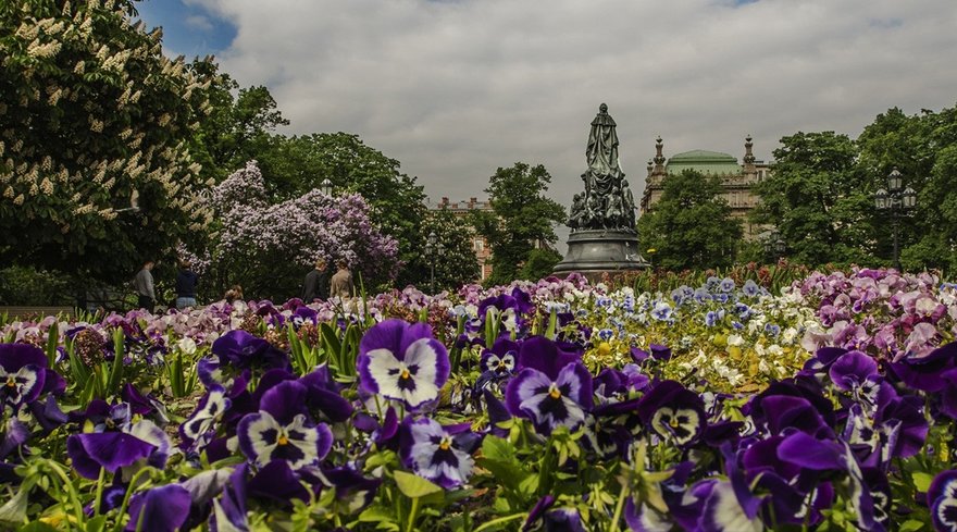 К 9 мая в Петербурге высадили 560 тысяч цветов, а также более 900 деревьев и кустарников