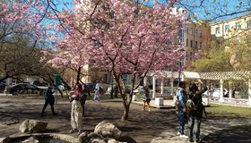 Общедоступная экскурсия-прогулка «Уголок Китая в Северной столице»