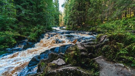 Экскурсия на катерах «Ладожские шхеры» — фото 2