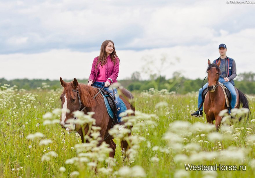 Конный клуб Western Horse