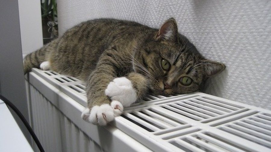 Отопление снова включили в центре Петербурга