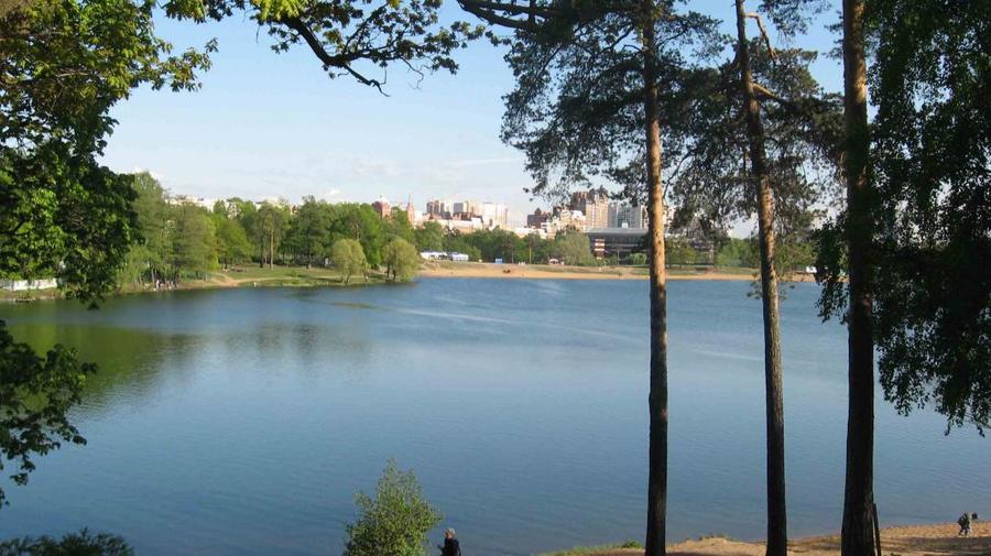 В Петербурге нашлось озеро, в котором можно купаться