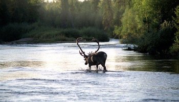 Экологические зоны Петербурга