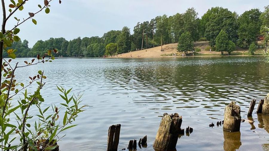 Санитарные врачи не нашли ни одного пригодного для купания водоема в Петербурге