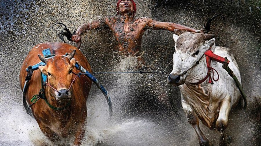  World Press Photo 2014, 14 мая — 12 июня