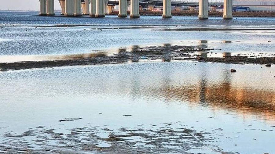 Циклон «Герольд» принесет в Петербург 15 октября новые дожди