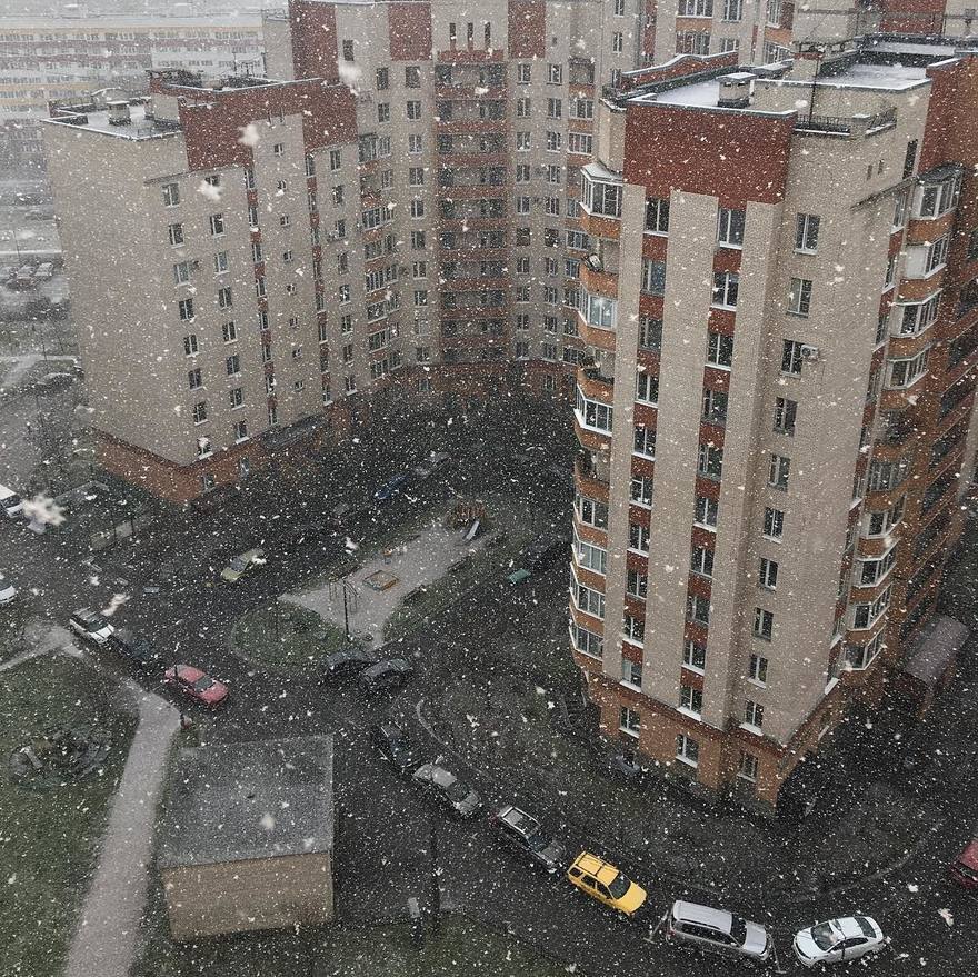 Первый снег выпал на севере Петербурга