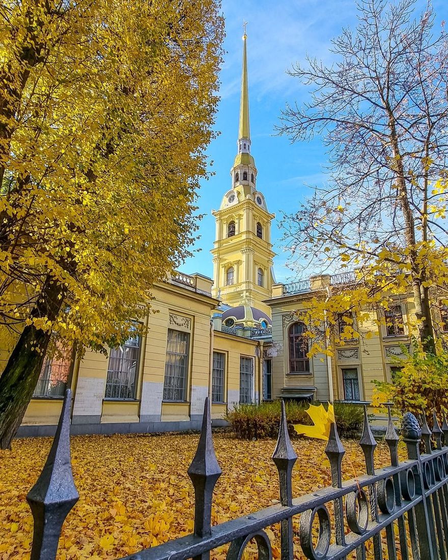 Теплый фронт испортит погоду в Петербурге 20 октября