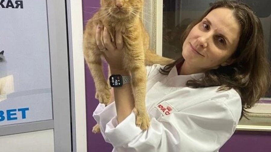 Его «привел» пропадавший Ося: у Республики кошек появился Куар-кот