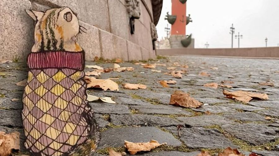 Тепло и дождливо будет в Петербурге 26 октября