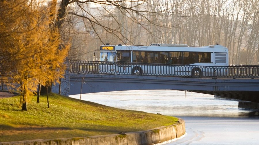 Число автобусных маршрутов в Петербурге сократится на четверть
