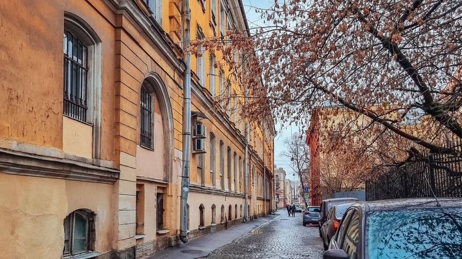 Циклон «Стефан» принесет в Петербург тепло и дожди