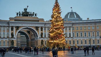 Новогоднюю ёлку на Дворцовую площадь привезут 7 декабря