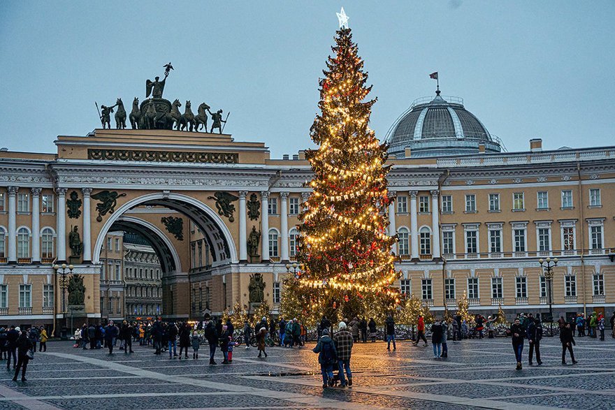 Новогоднюю ёлку на Дворцовую площадь привезут 7 декабря