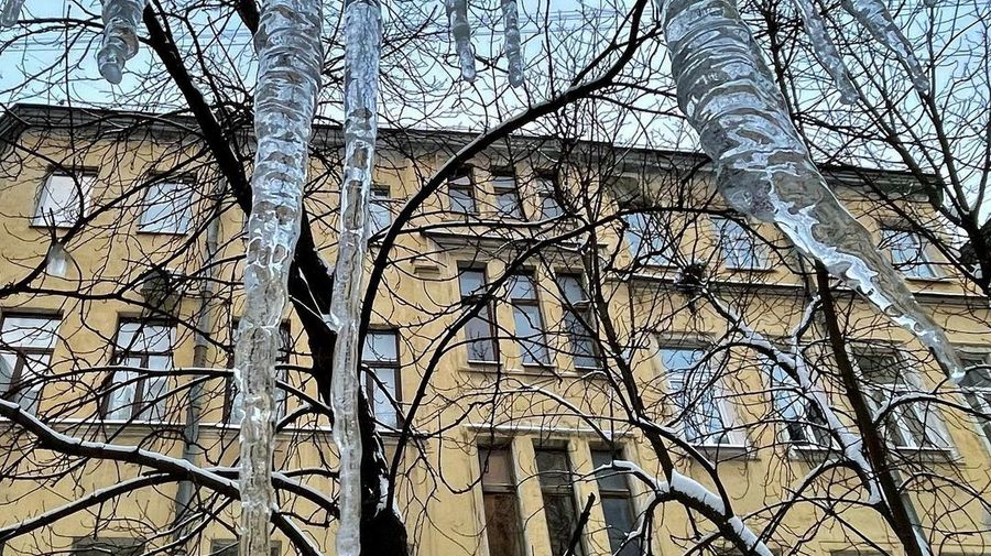 В Санкт-Петербурге заметили гигантские сосульки