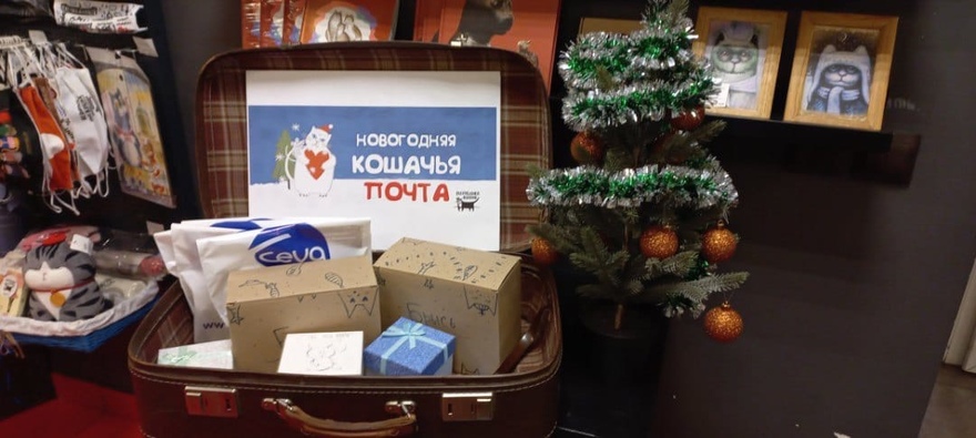 На Литейном начала работать новогодняя кошачья почта