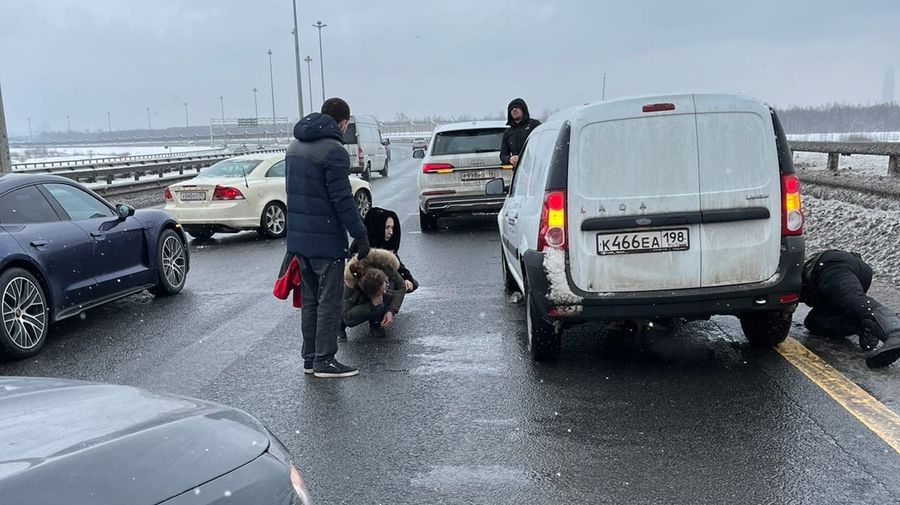 Петербуржцы спасли щенка на ЗСД